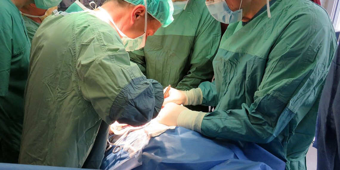 Będą zachęcać do transplantacji