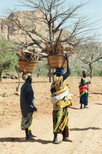 30.01.2021. Muzyczne podróże. Kraina Dongów. Mali / Danuta Rasała