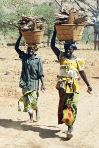 30.01.2021. Muzyczne podróże. Kraina Dongów. Mali / Danuta Rasała