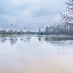 Stara Kuźnica / Magdalena Galas-Klusek / Radio Kielce