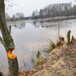 Stara Kuźnica / Magdalena Galas-Klusek / Radio Kielce