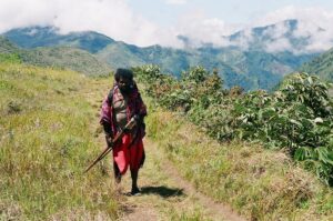 30.01.2021. Muzyczne podróże. Dolina Baliem. Papua Zachodnia. Indonezja / Danuta Rasała