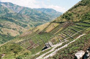 30.01.2021. Muzyczne podróże. Dolina Baliem. Papua Zachodnia. Indonezja / Danuta Rasała