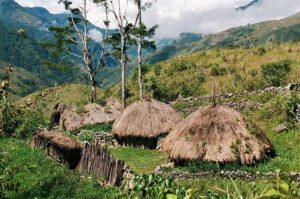 30.01.2021. Muzyczne podróże. Dolina Baliem. Papua Zachodnia. Indonezja / Danuta Rasała