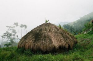 30.01.2021. Muzyczne podróże. Dolina Baliem. Papua Zachodnia. Indonezja / Danuta Rasała