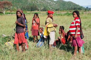 30.01.2021. Muzyczne podróże. Dolina Baliem. Papua Zachodnia. Indonezja / Danuta Rasała