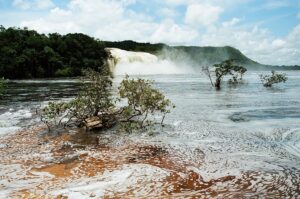 23.01.2021. Muzyczne podróże. Wenezuela. Park Narodowy Canaima / Danuta Rasała