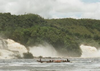 23.01.2021. Muzyczne podróże. Wenezuela. Park Narodowy Canaima / Danuta Rasała