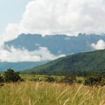 23.01.2021. Muzyczne podróże. Wenezuela. Park Narodowy Canaima / Danuta Rasała