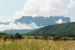 23.01.2021. Muzyczne podróże. Wenezuela. Park Narodowy Canaima / Danuta Rasała