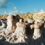 23.01.2021. Muzyczne podróże. Wenezuela. Park Narodowy Canaima / Danuta Rasała