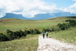 23.01.2021. Muzyczne podróże. Wenezuela. Park Narodowy Canaima / Danuta Rasała