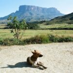 23.01.2021. Muzyczne podróże. Wenezuela. Park Narodowy Canaima / Danuta Rasała