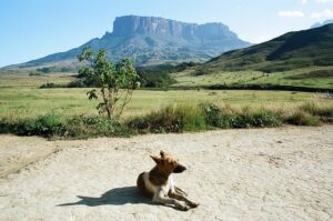 23.01.2021. Muzyczne podróże. Wenezuela. Park Narodowy Canaima / Danuta Rasała