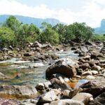 23.01.2021. Muzyczne podróże. Wenezuela. Park Narodowy Canaima / Danuta Rasała