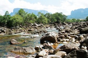 23.01.2021. Muzyczne podróże. Wenezuela. Park Narodowy Canaima / Danuta Rasała