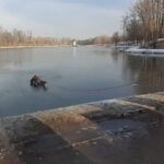 Straż Miejska w Kielcach