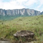 23.01.2021. Muzyczne podróże. Wenezuela. Park Narodowy Canaima / Danuta Rasała