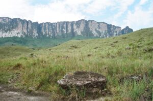 23.01.2021. Muzyczne podróże. Wenezuela. Park Narodowy Canaima / Danuta Rasała