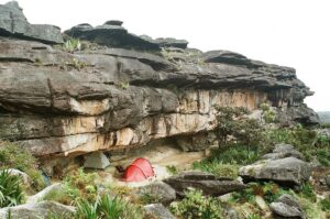 23.01.2021. Muzyczne podróże. Wenezuela. Park Narodowy Canaima / Danuta Rasała