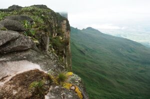 23.01.2021. Muzyczne podróże. Wenezuela. Park Narodowy Canaima / Danuta Rasała