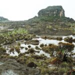 23.01.2021. Muzyczne podróże. Wenezuela. Park Narodowy Canaima / Danuta Rasała