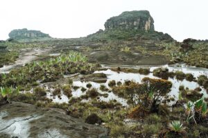 23.01.2021. Muzyczne podróże. Wenezuela. Park Narodowy Canaima / Danuta Rasała