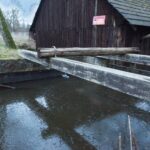 Stara Kuźnica / Magdalena Galas-Klusek / Radio Kielce