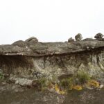 23.01.2021. Muzyczne podróże. Wenezuela. Park Narodowy Canaima / Danuta Rasała