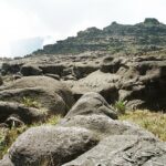 23.01.2021. Muzyczne podróże. Wenezuela. Park Narodowy Canaima / Danuta Rasała