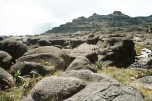 23.01.2021. Muzyczne podróże. Wenezuela. Park Narodowy Canaima / Danuta Rasała