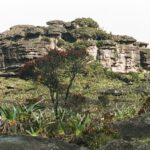 23.01.2021. Muzyczne podróże. Wenezuela. Park Narodowy Canaima / Danuta Rasała