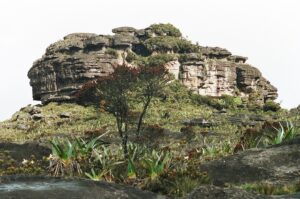 23.01.2021. Muzyczne podróże. Wenezuela. Park Narodowy Canaima / Danuta Rasała