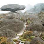 23.01.2021. Muzyczne podróże. Wenezuela. Park Narodowy Canaima / Danuta Rasała