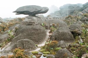 23.01.2021. Muzyczne podróże. Wenezuela. Park Narodowy Canaima / Danuta Rasała