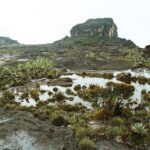 23.01.2021. Muzyczne podróże. Wenezuela. Park Narodowy Canaima / Danuta Rasała