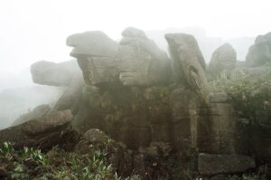 23.01.2021. Muzyczne podróże. Wenezuela. Park Narodowy Canaima / Danuta Rasała