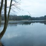 Stara Kuźnica / Magdalena Galas-Klusek / Radio Kielce