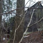 Stara Kuźnica / Magdalena Galas-Klusek / Radio Kielce