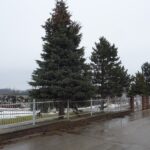 24.01.2021. Stojewsko. Miejsce pierwszej partyzanckiej akcji rozbrojeniowej kolonii niemieckiej / Ewa Pociejowska-Gawęda / Radio Kielce