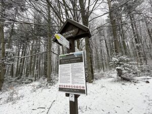 09.01.2021 Świętokrzyski Park Narodowy. Bukowa Góra / Jarosław Kubalski / Radio Kielce