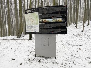 09.01.2021 Świętokrzyski Park Narodowy. Bukowa Góra / Jarosław Kubalski / Radio Kielce