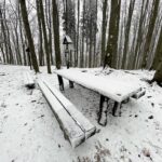 09.01.2021 Świętokrzyski Park Narodowy. Bukowa Góra / Jarosław Kubalski / Radio Kielce