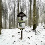 09.01.2021 Świętokrzyski Park Narodowy. Bukowa Góra / Jarosław Kubalski / Radio Kielce