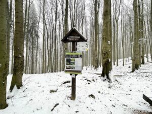 09.01.2021 Świętokrzyski Park Narodowy. Bukowa Góra / Jarosław Kubalski / Radio Kielce