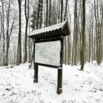 09.01.2021 Świętokrzyski Park Narodowy. Bukowa Góra / Jarosław Kubalski / Radio Kielce