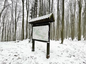 09.01.2021 Świętokrzyski Park Narodowy. Bukowa Góra / Jarosław Kubalski / Radio Kielce