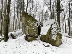 09.01.2021 Świętokrzyski Park Narodowy. Bukowa Góra / Jarosław Kubalski / Radio Kielce