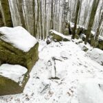 09.01.2021 Świętokrzyski Park Narodowy. Bukowa Góra / Jarosław Kubalski / Radio Kielce