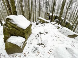 09.01.2021 Świętokrzyski Park Narodowy. Bukowa Góra / Jarosław Kubalski / Radio Kielce